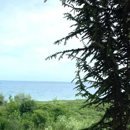 Seaside Studio In